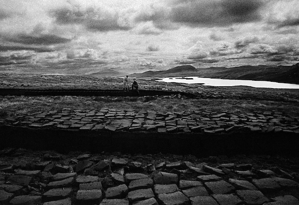 © Colin McPherson